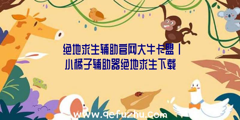 「绝地求生辅助官网大牛卡盟」|小橘子辅助器绝地求生下载